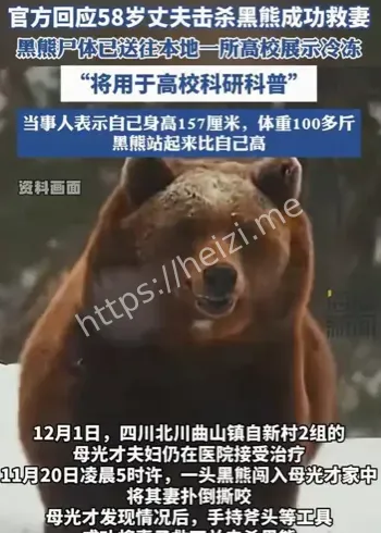 黑熊超市入侵事件