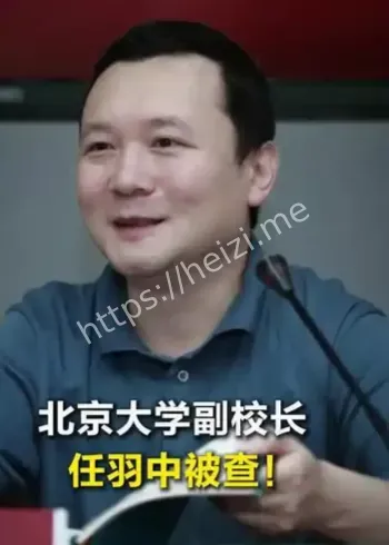 主动投案纪律审查